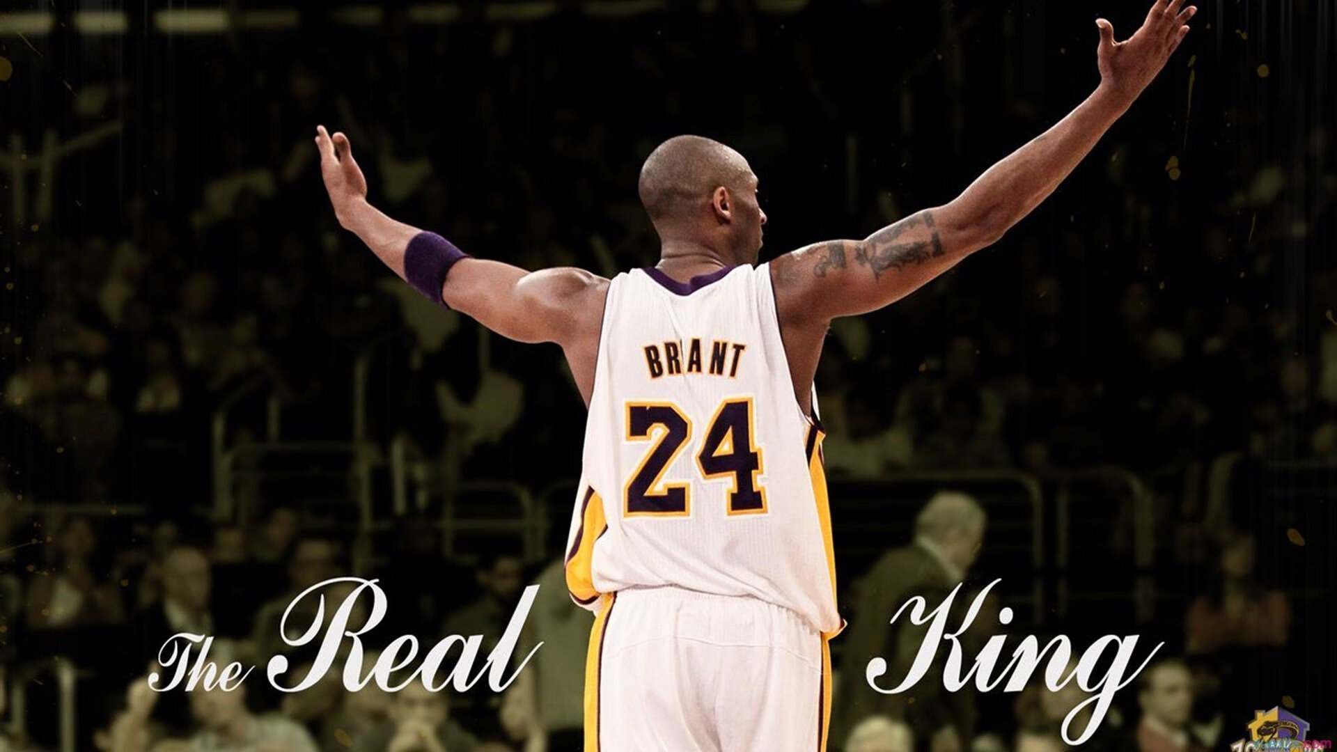 NBA球队战术板应用案例解析，篮球战术板壁纸