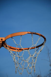 JIU YOU GAME-篮球运动员专项体能训练计划智能化设计与实施，篮球运动员体能训练的内容有哪些