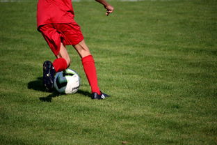 九游娱乐APP-篮球运动员心理韧性提升及干预体系建设，篮球运动员的心理训练